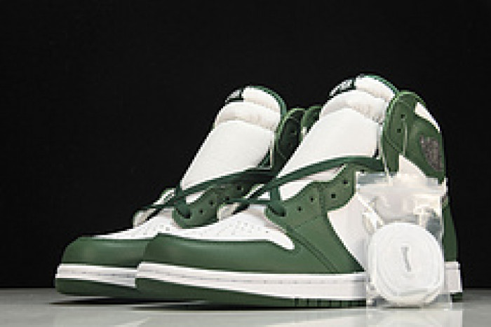 Air Jordan 1 Gorge Green DZ5485-303