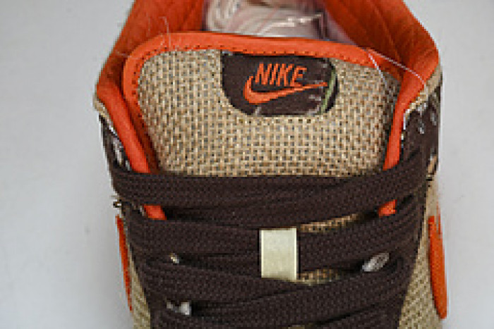 NIKE DUNK LOW PRO SB 304292-281