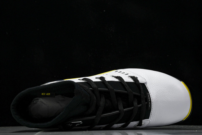 Air Jordan 17 Low “Lightning” FJ0395-100