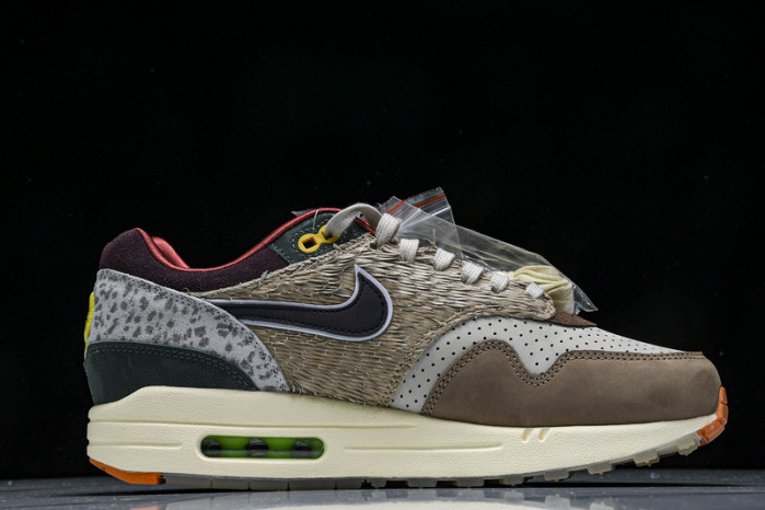 Division Street x Nike Air Max 1 "Oregon Ducks” HQ2639-100