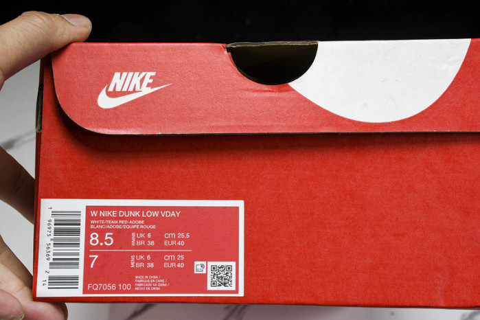 NIKE DUNK LOW VDAY FQ7056 100