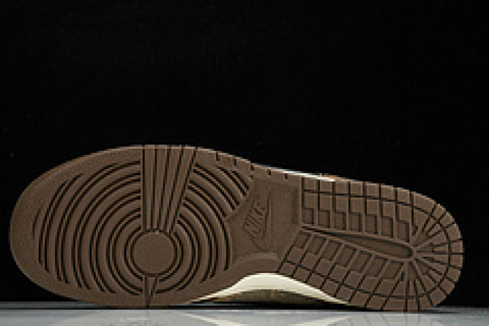 Nike Dunk Low CO.JP 2023 FJ5434-120