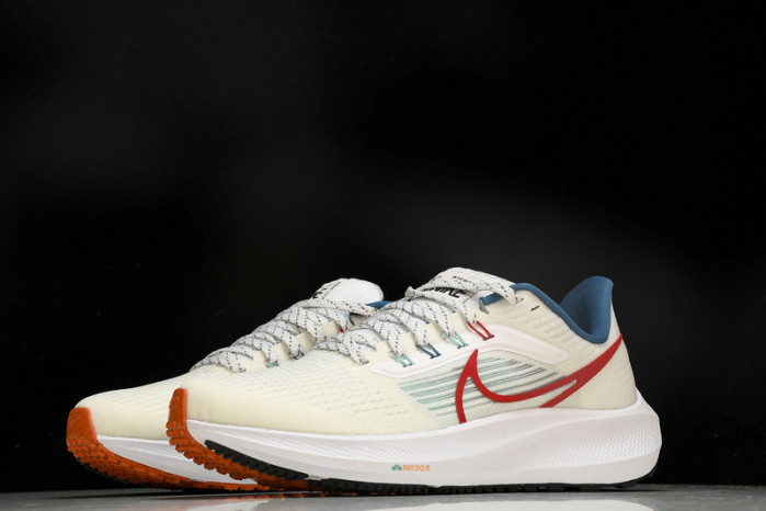 Nk Air Zoom Pegasus 39 FD4322-161