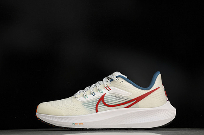 Nk Air Zoom Pegasus 39 FD4322-161