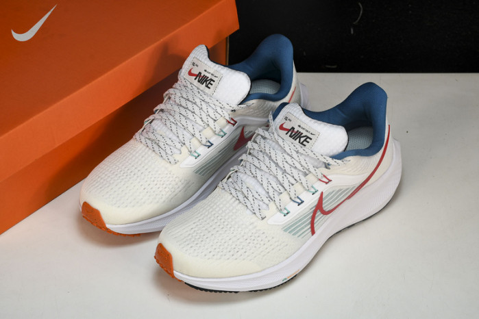 Nk Air Zoom Pegasus 39 FD4322-161