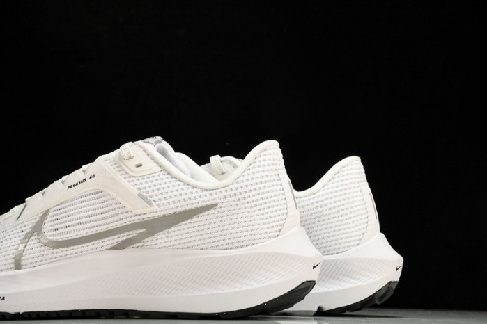 NK Air Zoom Pegasus 40 DV3853-102