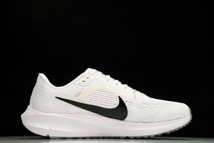 NK Air Zoom Pegasus 40 DV3853-102