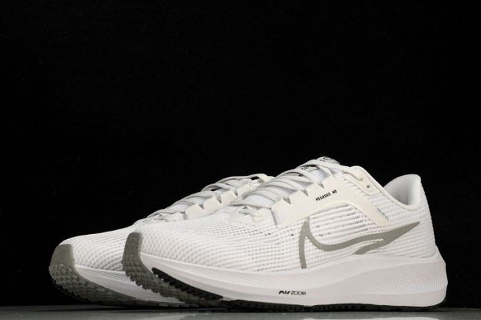 NK Air Zoom Pegasus 40 DV3853-102