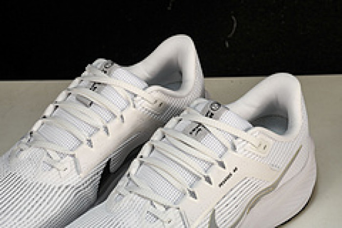 NK Air Zoom Pegasus 40 DV3853-102