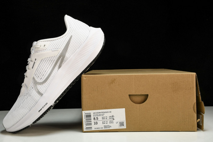 NK Air Zoom Pegasus 40 DV3853-102