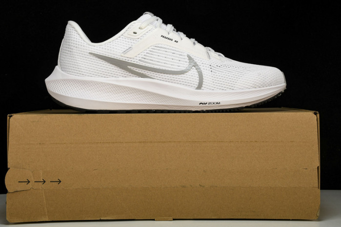 NK Air Zoom Pegasus 40 DV3853-102