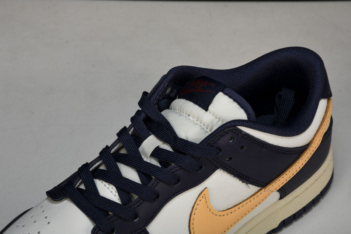 NK DUNK LOW FV8106-181