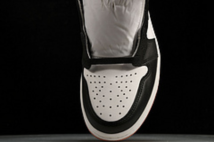 Jordan 1 Retro High Rust Pink 861428-101