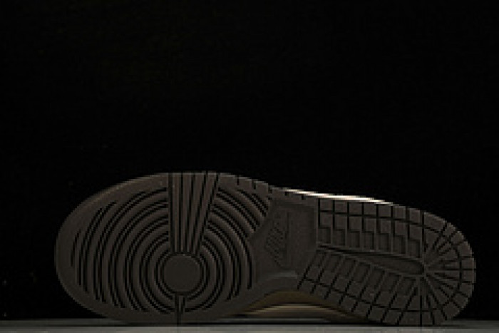 Nike Dunk Low Ironstone - FD9746-001