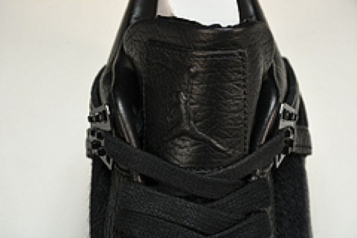 Air Jordan 4 819139-010