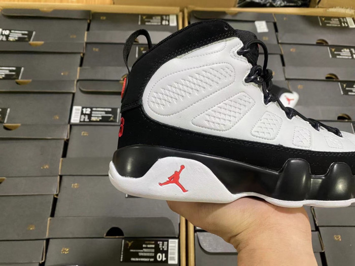 Air Jordan 9 302370-112
