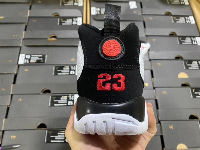 Air Jordan 9 302370-112