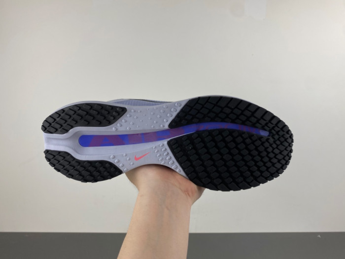 Nike Pegasus Premium 